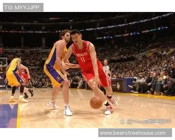 珍藏姚明球衣的背后故事与篮球传奇的永恒魅力